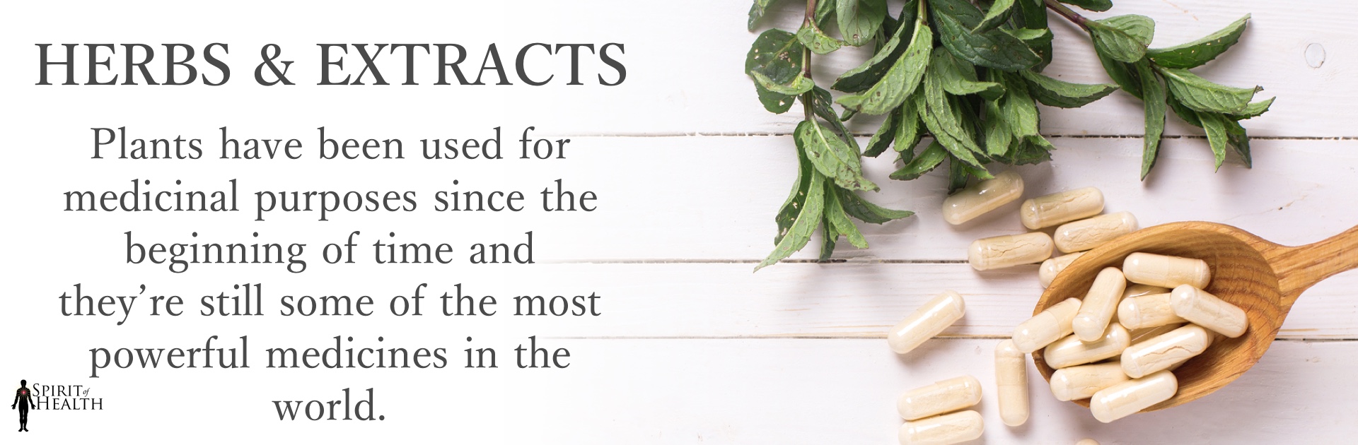 herbs-extracts.jpg herbs-extracts.jpg